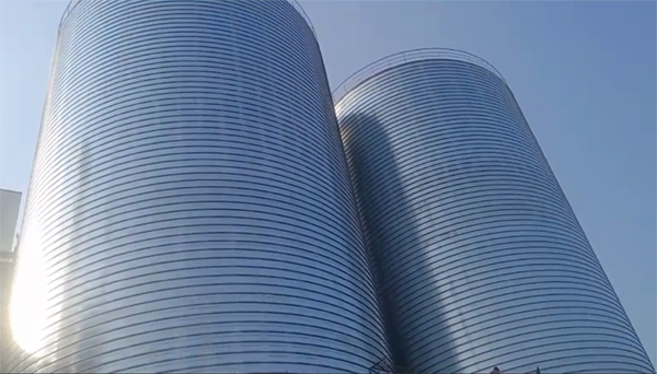 黟县2座混凝土高架卷板仓